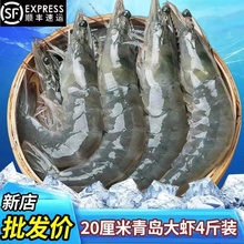 整箱4斤青岛大虾海虾鲜活基围虾冷冻白虾对虾新鲜海捕海鲜虾8