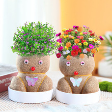新款草头小植物盆栽开花娃娃室内阳台抖音可爱桌面摆件绿植创植物