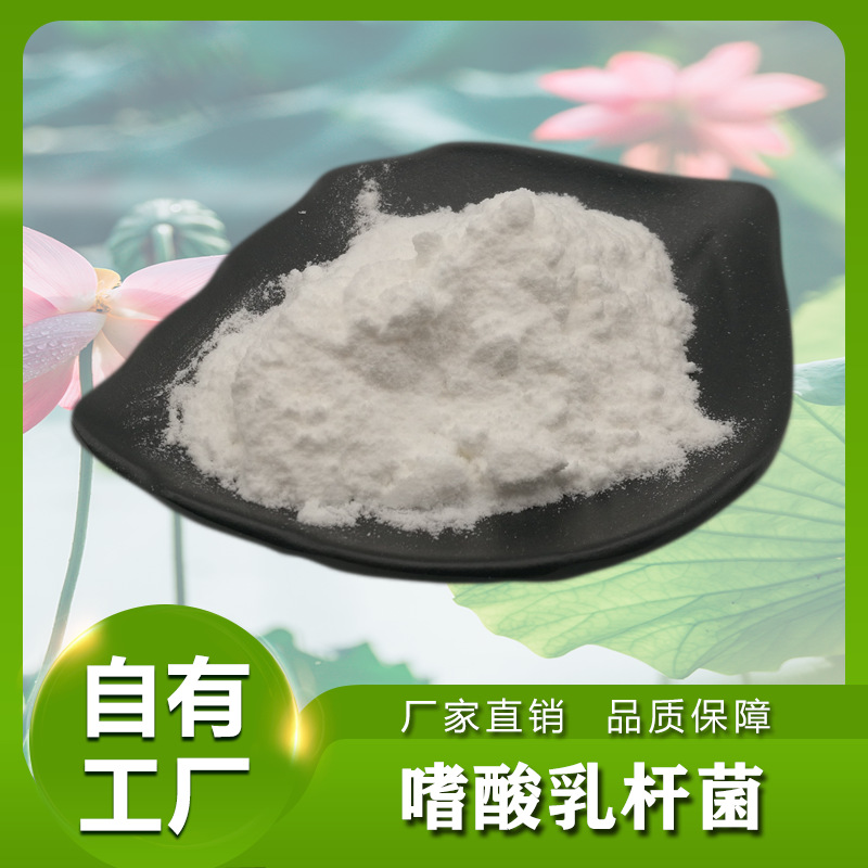 嗜酸乳杆菌100亿cfu/g 食品级乳酸菌粉 益生菌菌种 植物乳杆菌