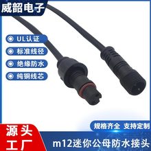 m12连接器迷你防水公母对接头2芯防水航空插头植物灯防水线批发