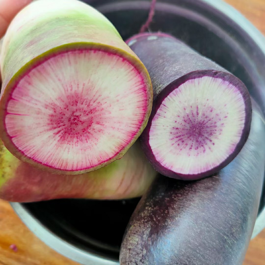 生吃现挖脆甜山东冰糖心红宝石冰激凌水果萝卜5斤一件冰淇淋萝卜