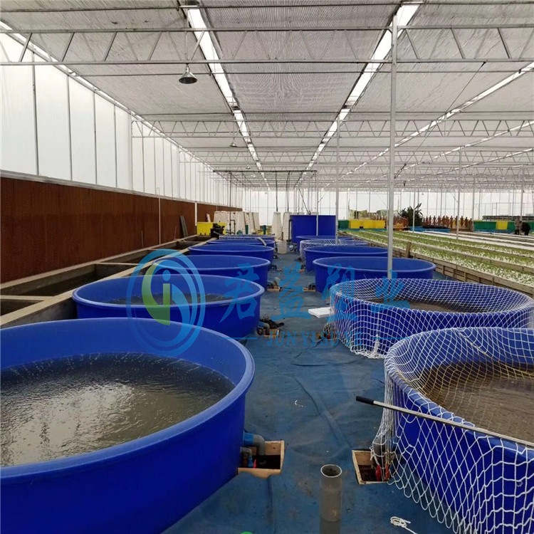 大型养鱼桶