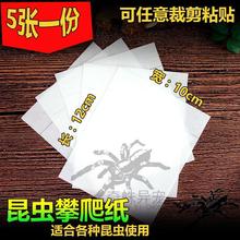 螳螂攀爬纸昆虫攀爬贴纸5*10cm爬宠螳螂垫料饲养裁剪盒DIY用品