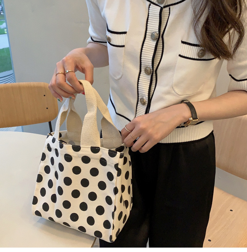 Spring and Summer New Gentle Good-looking Cosmetic Bag Work Good-looking Small Carrying Bag Japanese and Korean Students Lunch Box Handbag for Women
