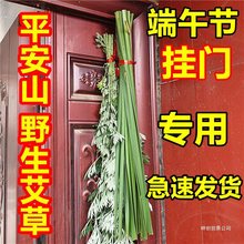 端午节艾草门挂新鲜采摘菖蒲挂大门装饰挂件挂饰驱蚊整颗野生生日