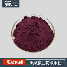 黑果腺肋花楸果粉 水溶 野樱莓粉 黑果腺肋花楸冻干粉