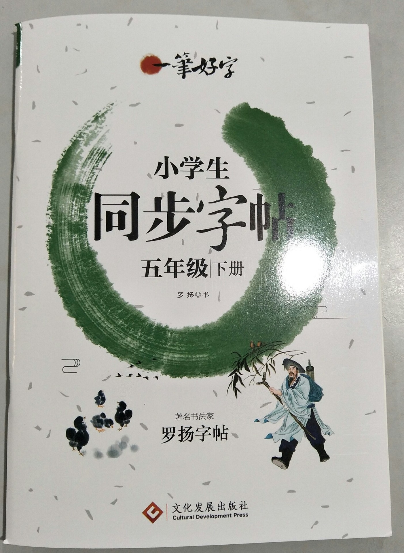 五年级下册一笔好字小学生同步字帖罗扬字帖语文教材钢笔硬笔正版