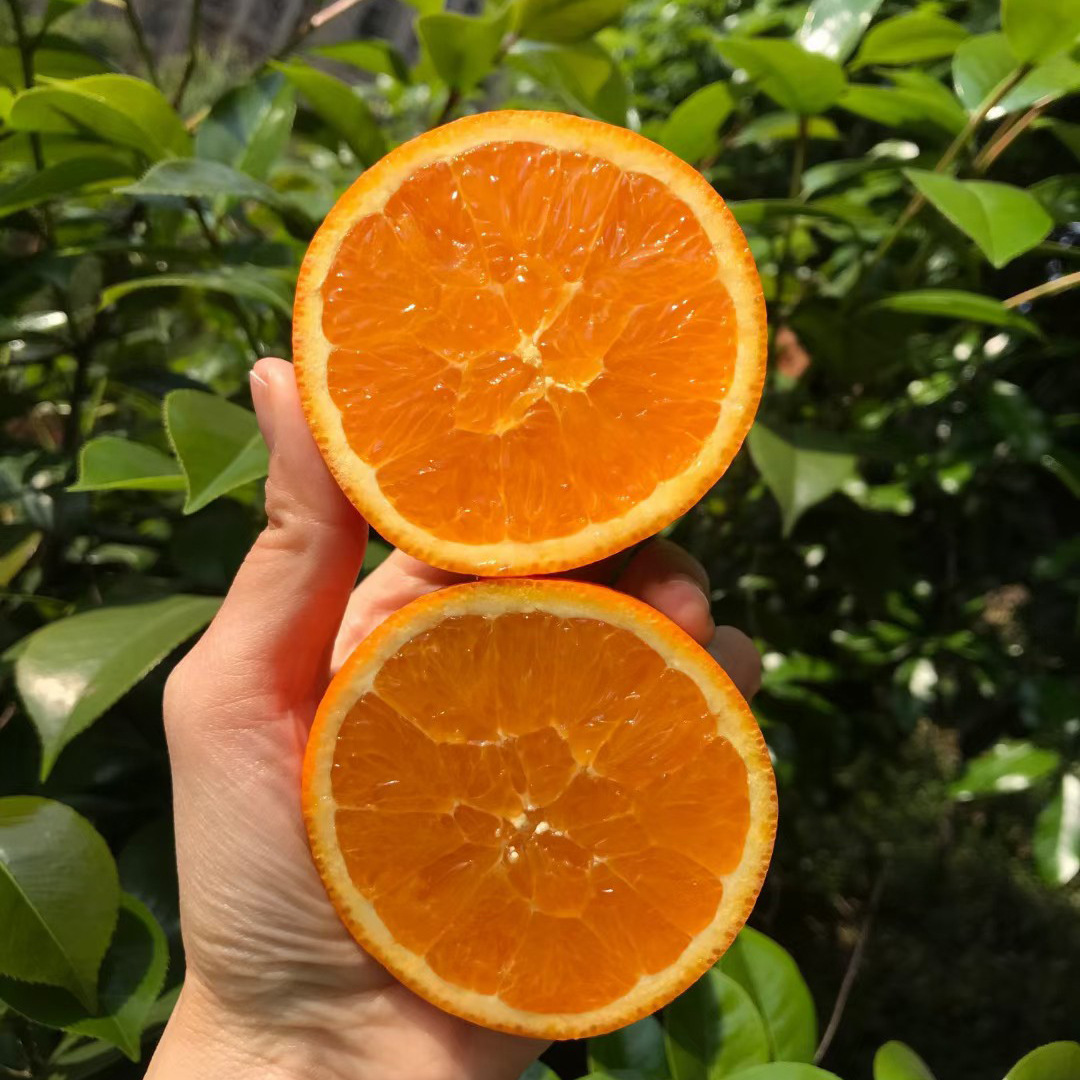 新鲜伦晚脐橙 5斤 9斤 西六可发