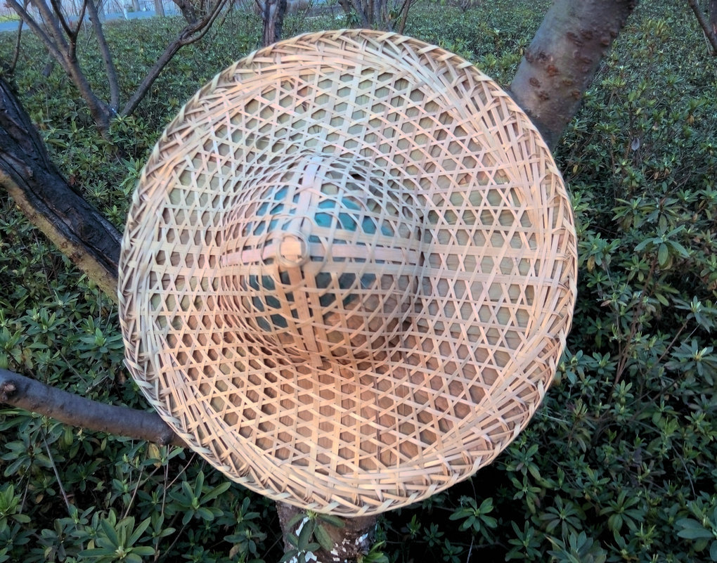 斗笠帽 竹编 越南 舞蹈演出道具防水斗笠帽子竹 装饰 草帽