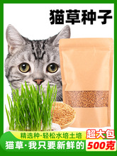 懒人小麦水培种植种子猫草猫咪毛球吃的化毛去草籽猫草猫麦营养