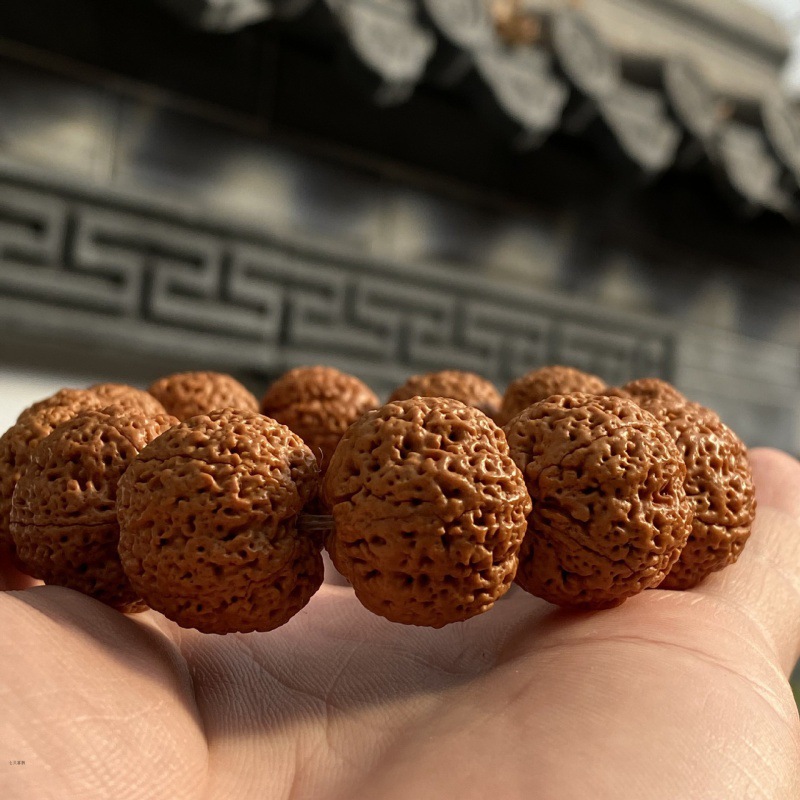 五瓣尼泊尔大金刚菩提子矮桩满肉五星蜂王蜂窝双龙梅花男手串原籽