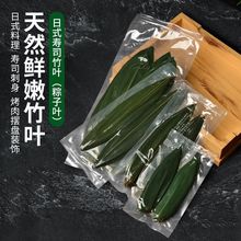 刺身装饰寿司竹叶烤肉摆盘粽叶只可摆盘叶子日式日料竹子叶独立站