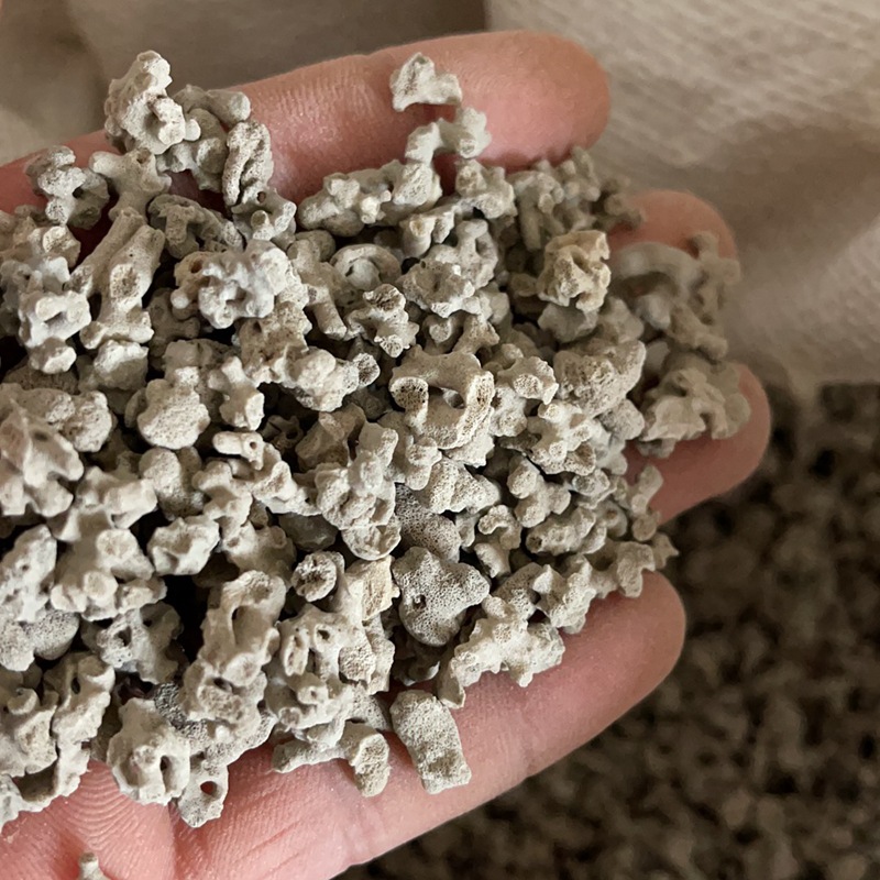 批发中药材 海浮石 海浮石花 海石花 多种规格免费打粉实物拍摄