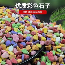 五彩石彩色小石头鹅卵石盆栽小石子多肉铺面石园艺造景花盆装饰