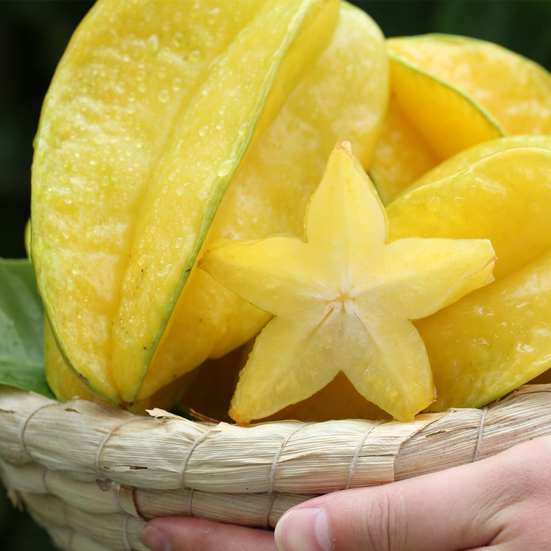 福建漳州杨桃5斤水果新鲜当季应季整箱酸甜洋桃阳桃批发直批r