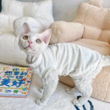 图图德文猫衣服无毛猫衣服斯芬克斯猫衣服柔软毛巾底包邮兔子压花