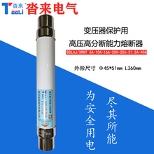 XRNT10KV12KV高压高分断能力熔断器SDLAJ负荷开关熔管10A16A31.5A