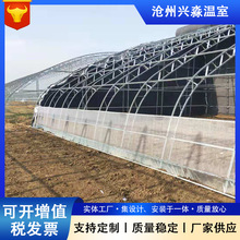 种植蔬菜瓜果农业连动薄膜温室建设 承接连栋温室大棚工程温室