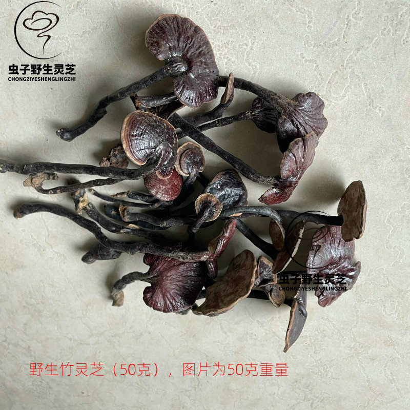 野生竹灵芝 薄叶竹灵芝 野生竹灵芝 海南野生灵芝灵芝汤料 50克包