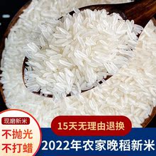 【乡下米】广西米农家大米晚稻新米长粒香煲仔饭软香籼米10斤批发