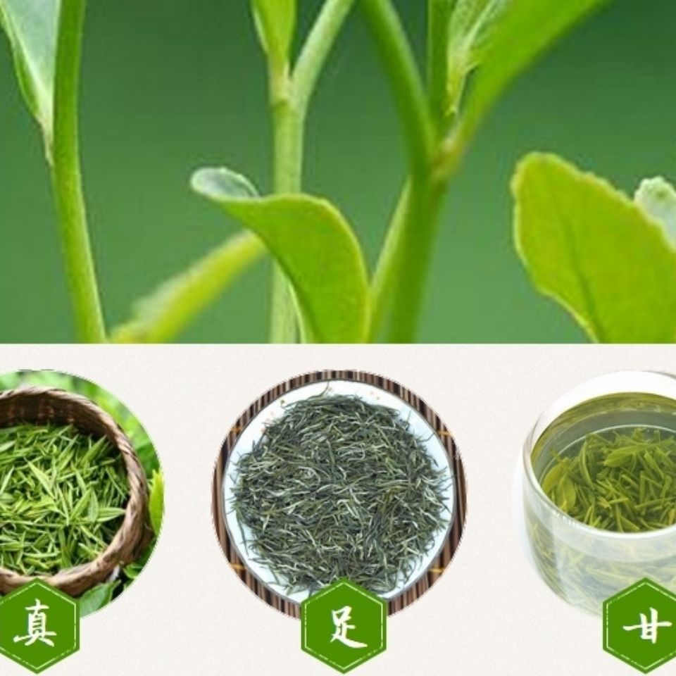 新茶 安康紫阳毛尖茶克 陕西安康富硒银针 明前毛尖茶散装