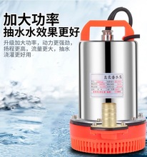 直流潜水泵12V24V48V60V电瓶车电动车水泵小型灌溉农用抽水机