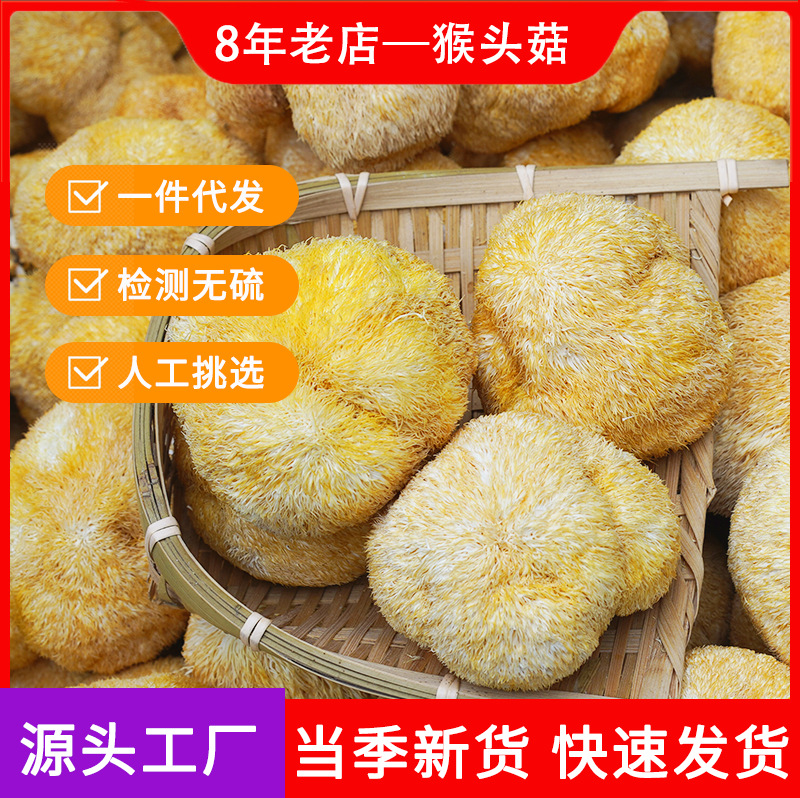 500g包邮猴头菇批发干货散装包装古田特产深山种植猴头菌菇无硫熏