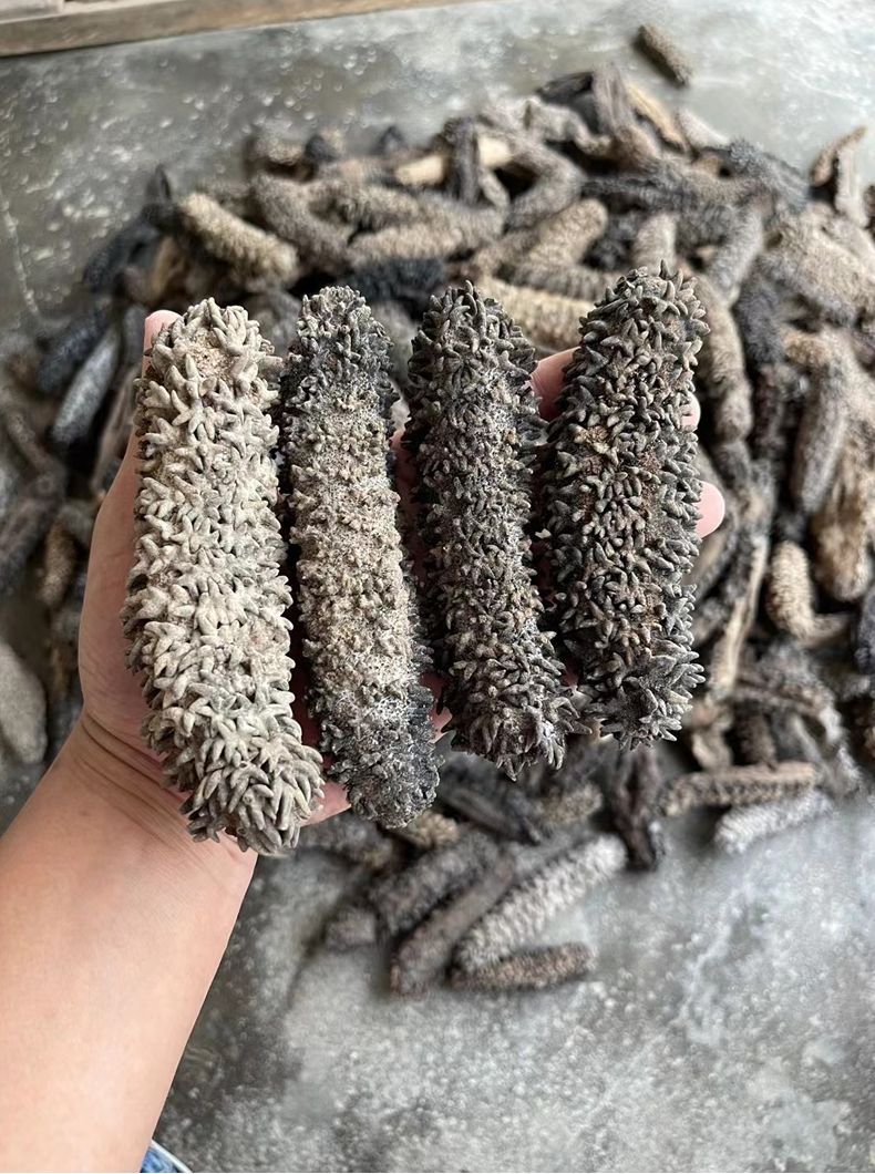 梅花参干货批发2-5头澳洲淡干海参印尼一手有刺参非洲水发凤梨参