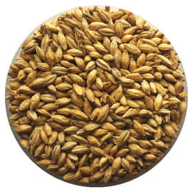 慕尼黑麦芽25kg色度15-25ebc家酿啤酒麦芽提高啤酒色度香气原料