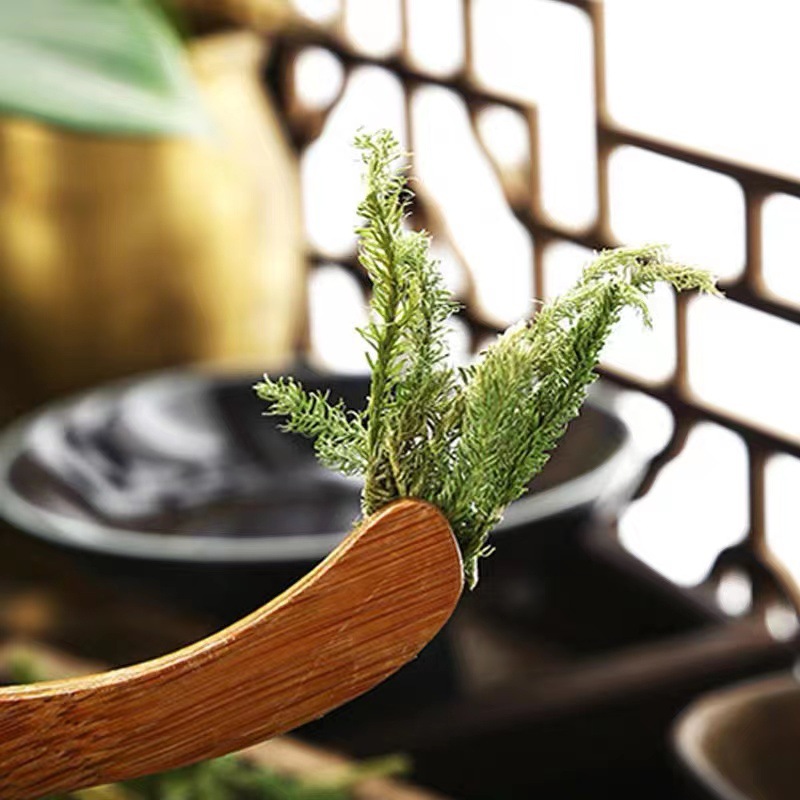 云南野生伸筋草500g中药材泡酒料舒筋草当季新货泡脚 另售 透骨草