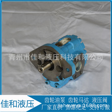长江液压泵 非标生产 CBY3063-172L齿轮泵 运行稳定 密封性能好