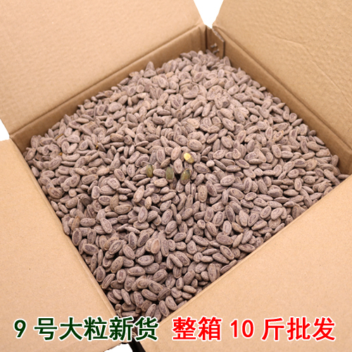 今年新货吊瓜子大籽5斤散装 奶油原味坚果零食小吃整