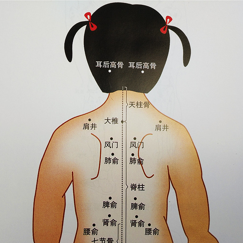 小儿推拿全身经络穴位图儿童针灸艾灸穴位图解知识宣传挂图