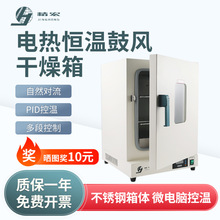 上海精宏 DHG系列电热恒温干燥箱高温恒温箱工业烤箱烘干箱