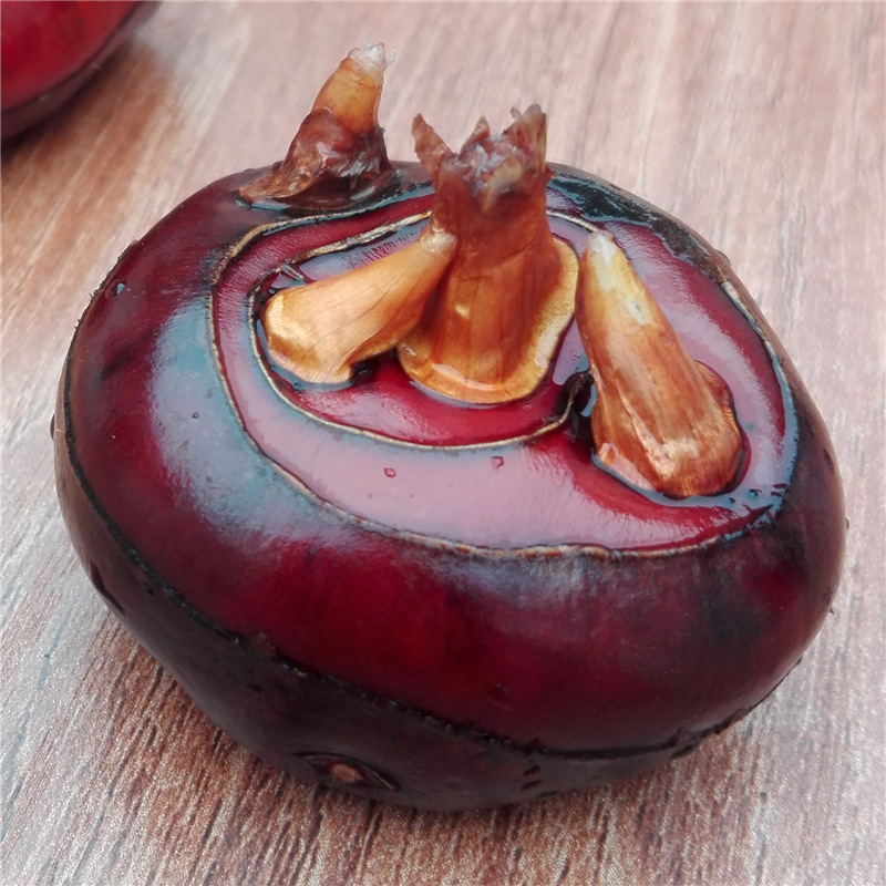 现挖三峡红马蹄荸荠 脆甜新鲜水果蔬菜地梨当季货湖北特产5斤包邮