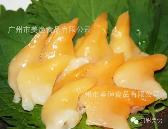 加拿大黄金贝北极贝刺身日式料理即食贝黄色北极贝贝sss码10kg/件