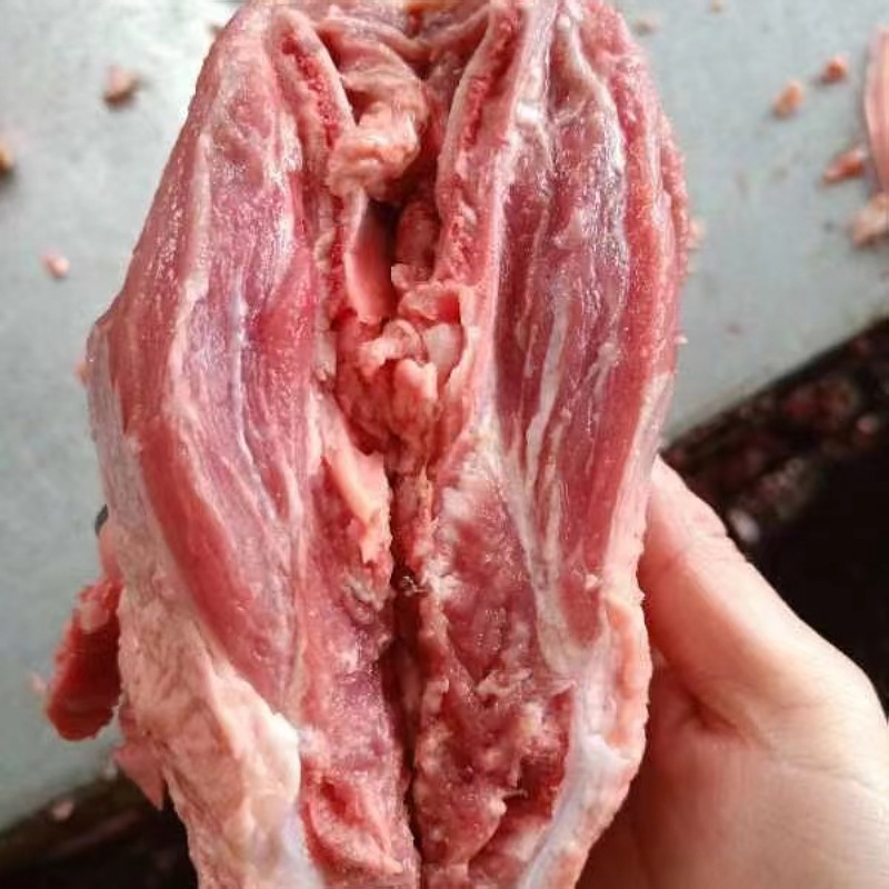 洁晨新鲜冷冻多肉巴骨肉 颈骨肉现捞干锅软骨脆骨猪锁骨 20斤/箱