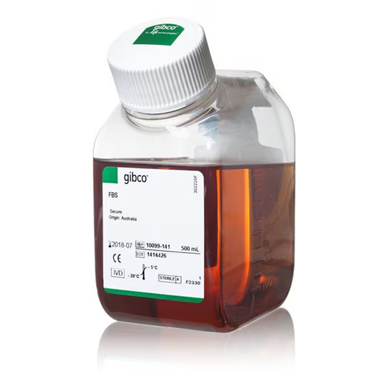 10099141c赛默飞gibco胎牛血清thermo合格澳大利亚500 ml无菌过滤