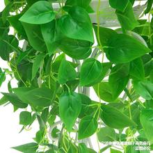 仿真绿萝长藤假花壁挂绿植吊兰装饰植物吊花挂墙上塑料垂吊大盆栽