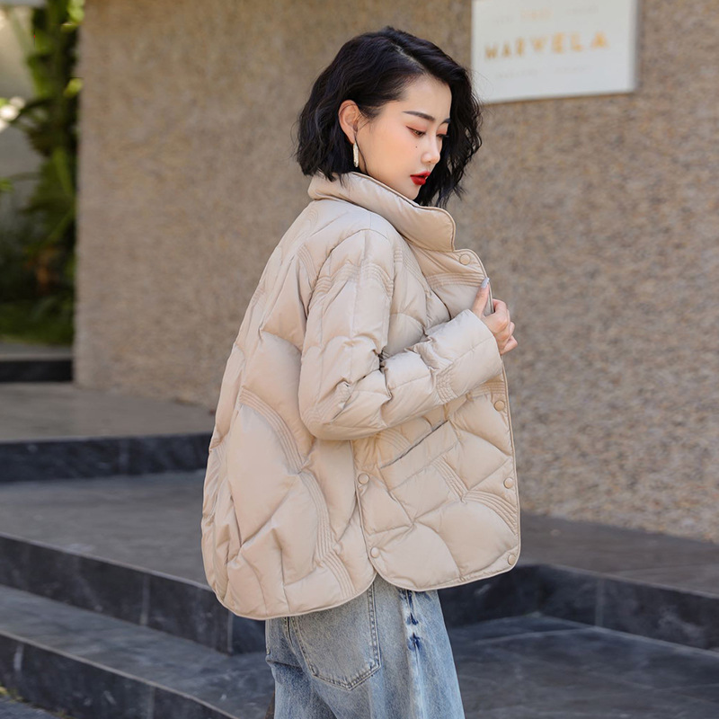 Autumn and Winter Stand-up Collar down Jacket Women's Short White Duck down Warm Winter Clothing Coat Light Retro Artistic Auspicious Cloud