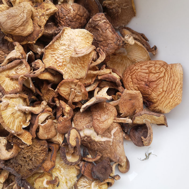 新货云南特产哀牢山深山纯野生小香菇干货香菌农家蘑