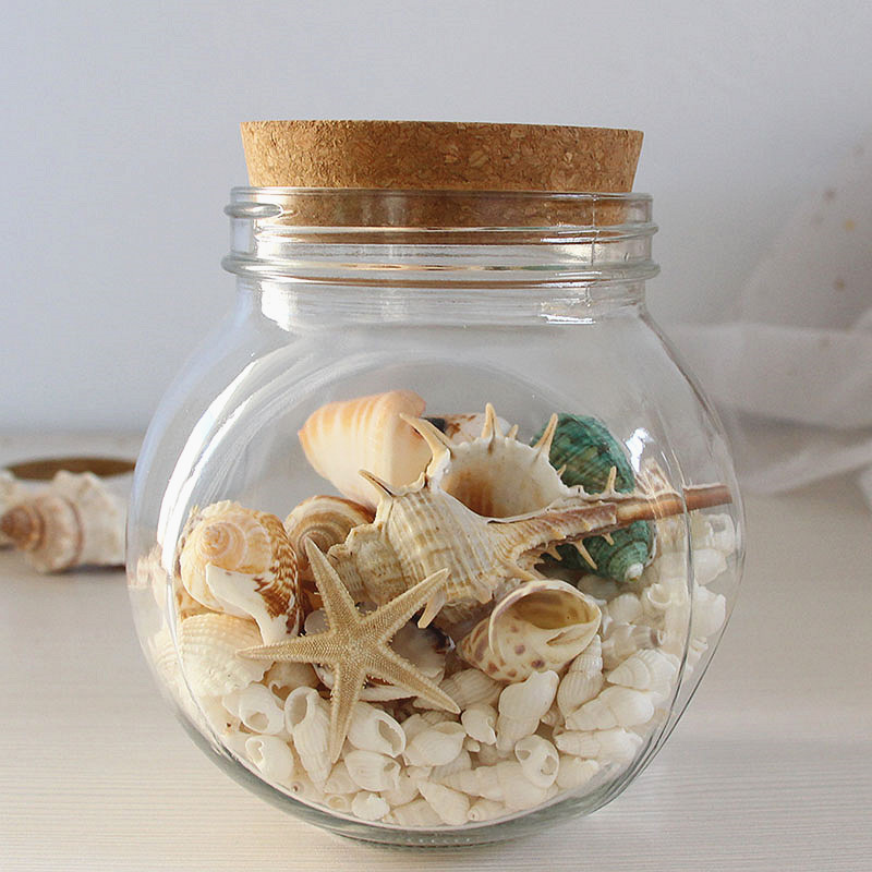 天然贝壳许愿瓶沙滩海螺漂流瓶治愈系海洋瓶玻璃瓶家居装饰摆件