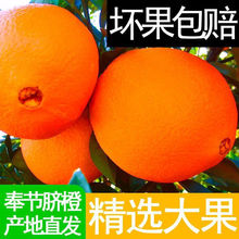 重庆产地直发新鲜现摘伦晚橙子当季水果整箱10斤包邮跨境