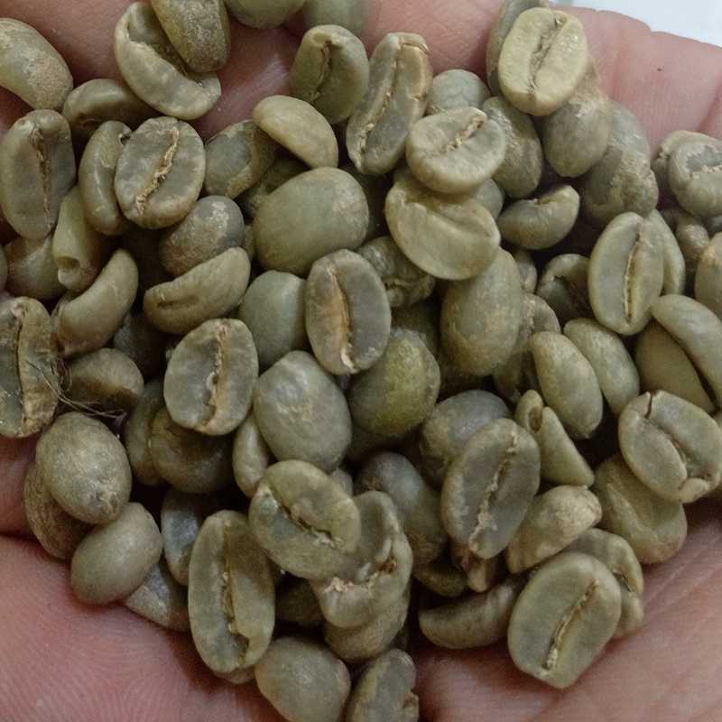 危地马拉咖啡生豆 进口生咖啡豆500克 包邮