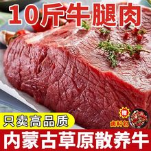 牛肉内蒙古原切牛腩肉10斤黄牛肉新鲜生牛腿肉批发商用2.5斤混批