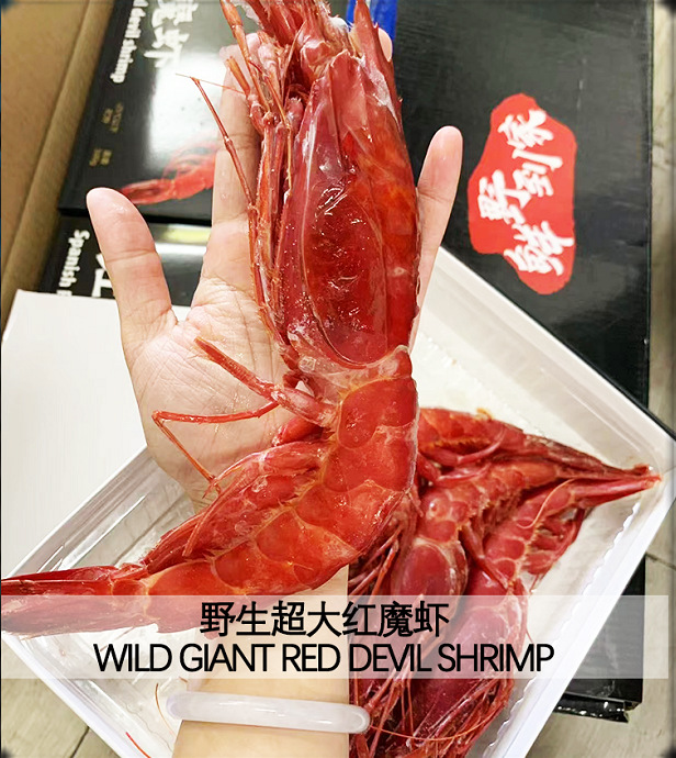 红魔虾刺身新鲜批发海虾鲜活速冻非莫桑比克西班牙虾