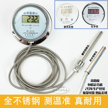 双金属数显温度计 WST/DTM491数字高精度耐腐蚀防水带探头工业表