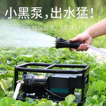 充电式抽水泵大马力家用浇菜神器便携式户外大功率流量电动抽水器