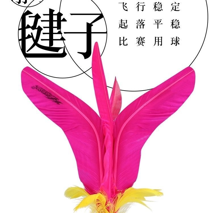 火翎鸟毽子 比赛专用毽球 成人健身儿童小学生运动鸡毛花毽-阿里巴巴