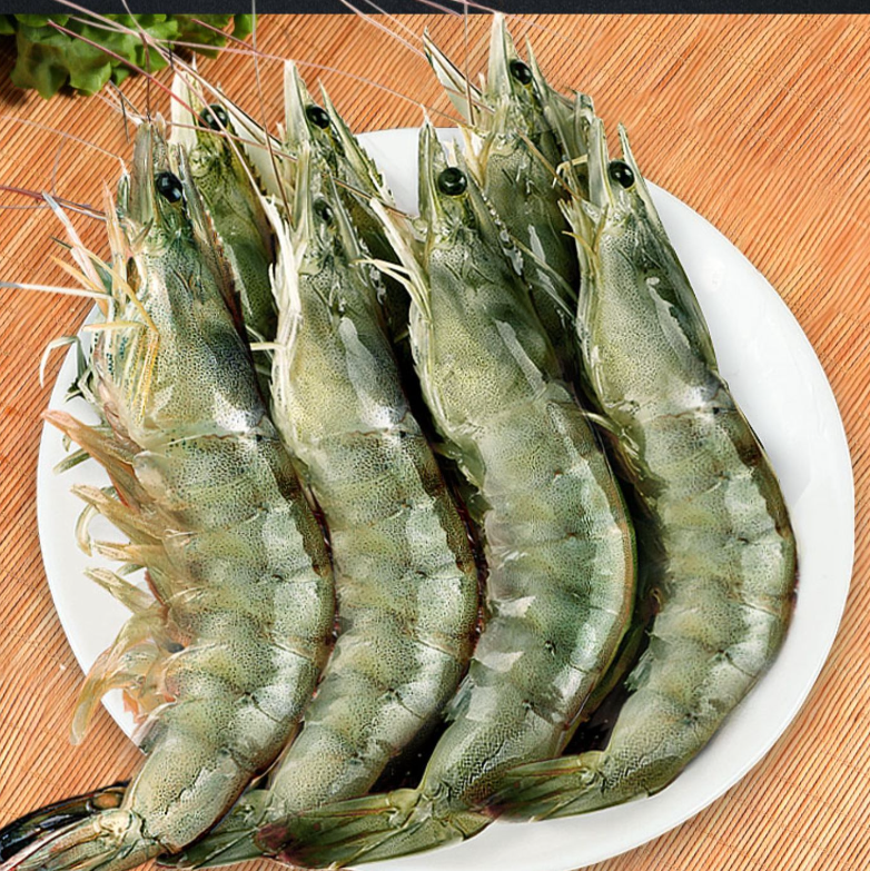 新鲜超大活虾厄瓜多尔白虾对虾海虾冷冻海虾海鲜水产2030盐冻虾